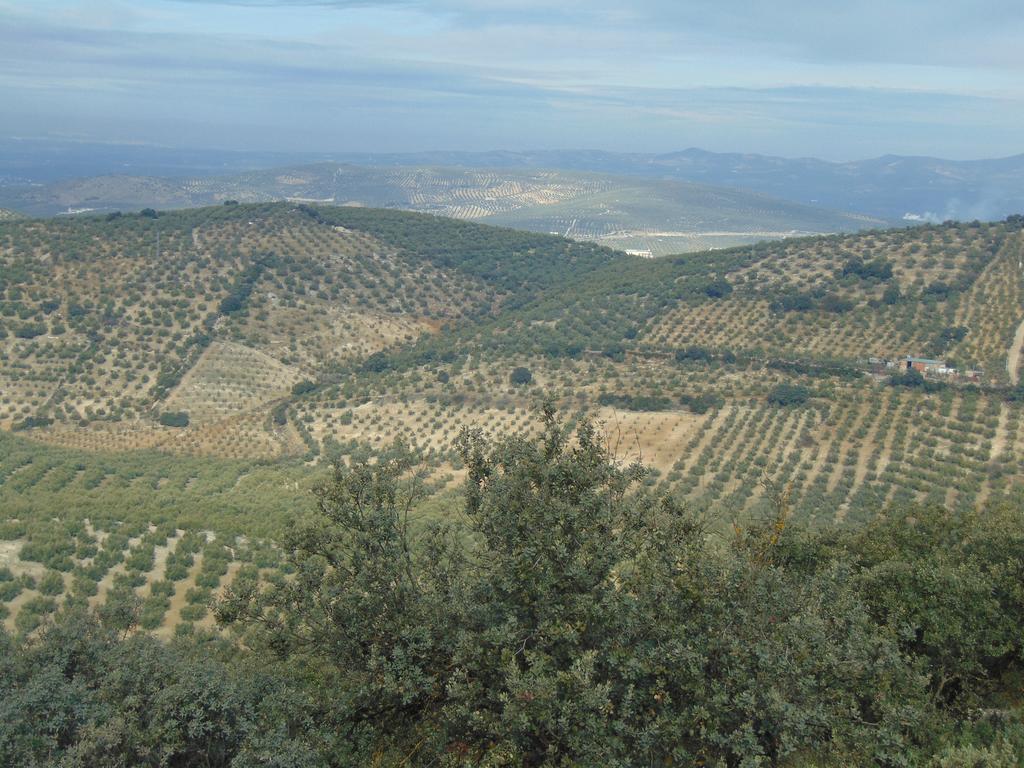 Hotel Sierra De Araceli Лусена Екстер'єр фото